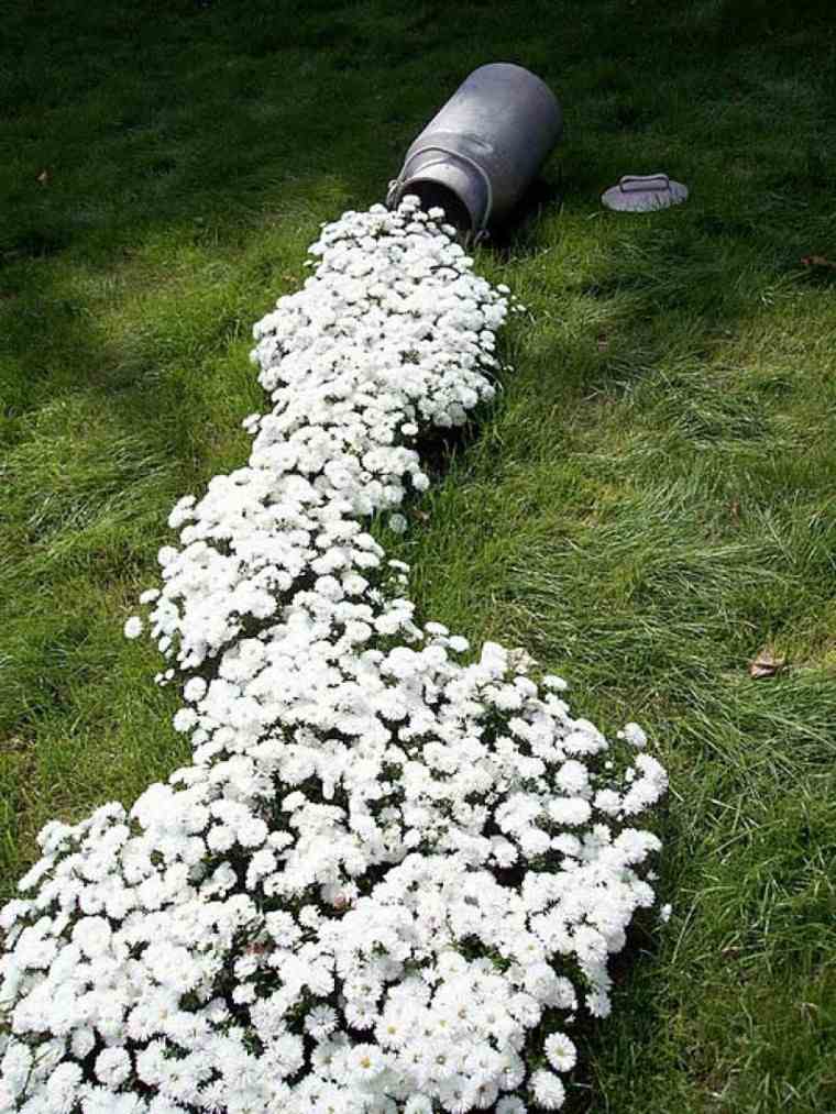 ideas flores blancas bonitas jardin cesped 