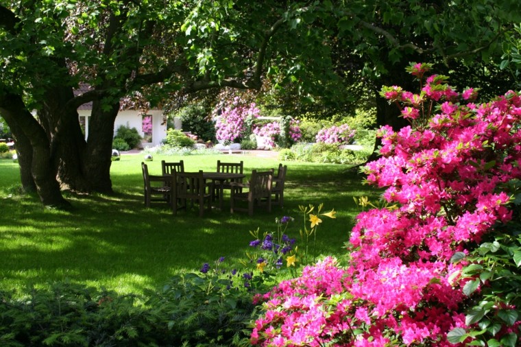 lugar perfecto bajo la sombra del árbol jardin grande cesped plantas lugar comidas