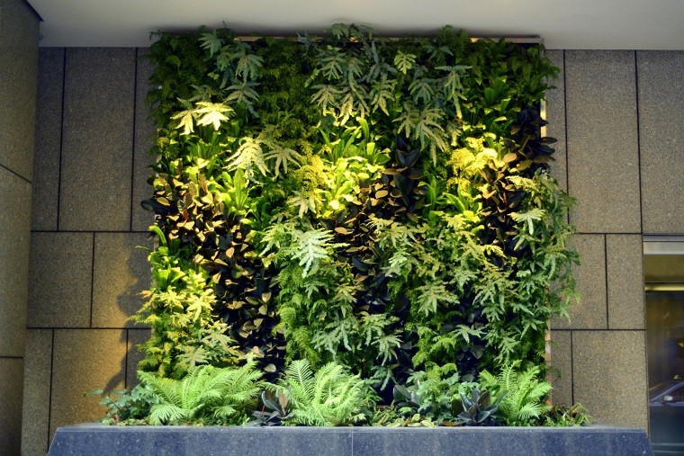 jardin vertical cuadrado pared