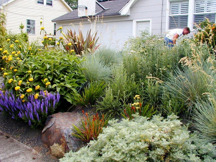 jardin mediterraneo estilo suelo seco hierbas