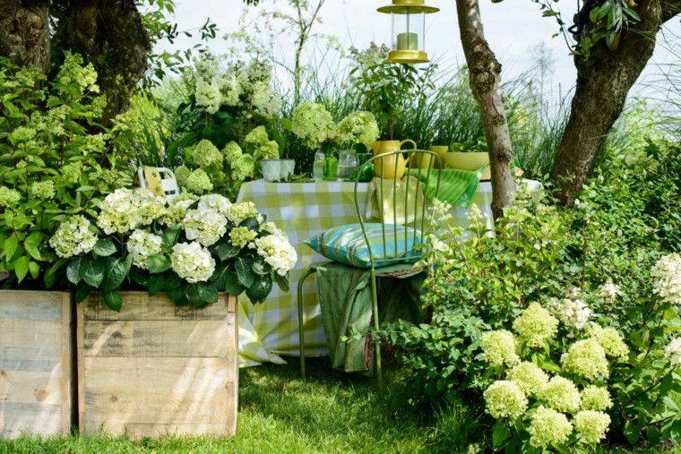 plantas blancas en cajas de madera jardin moderno colores verdes plantas blancas ideas