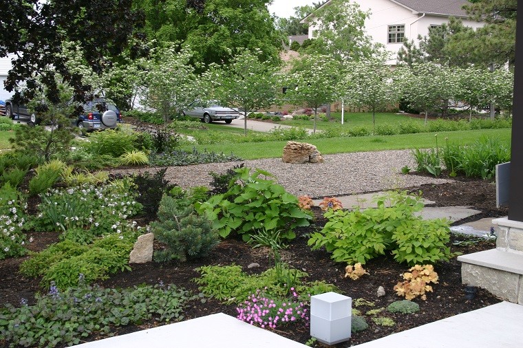 jardin patio muchas plantas luz