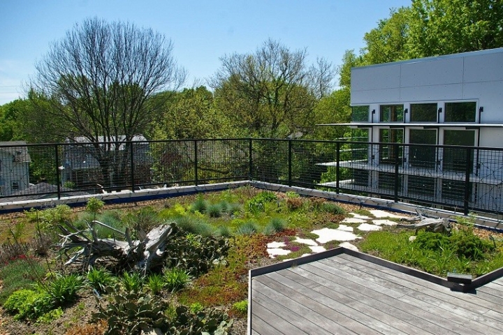 Arquitectura y diseño de jardines modernos