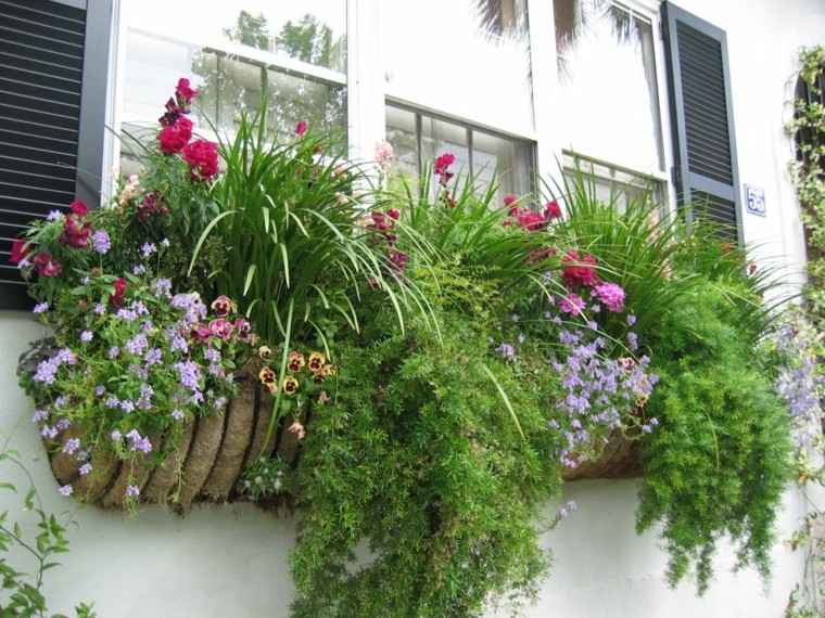 jardin ventana maceta naturalidad imagen casa idea