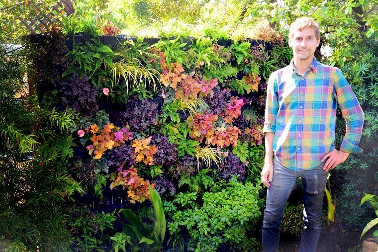 jardin vertical plantas moradas
