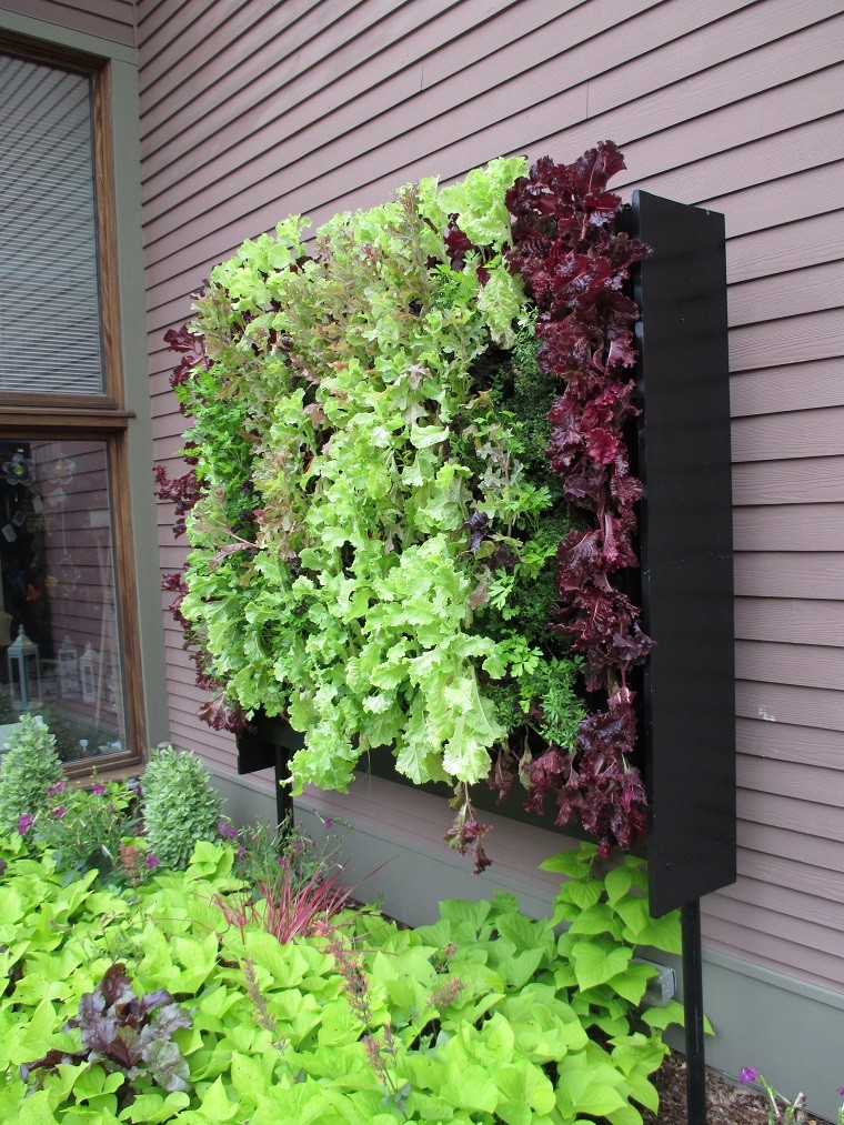 jardinera pared plantas decorativas