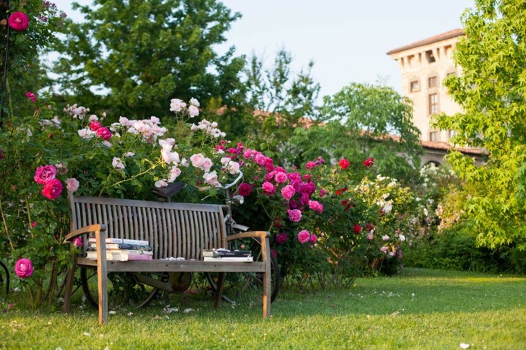 lugar perfecto sentarse leer alrededor flores aromas