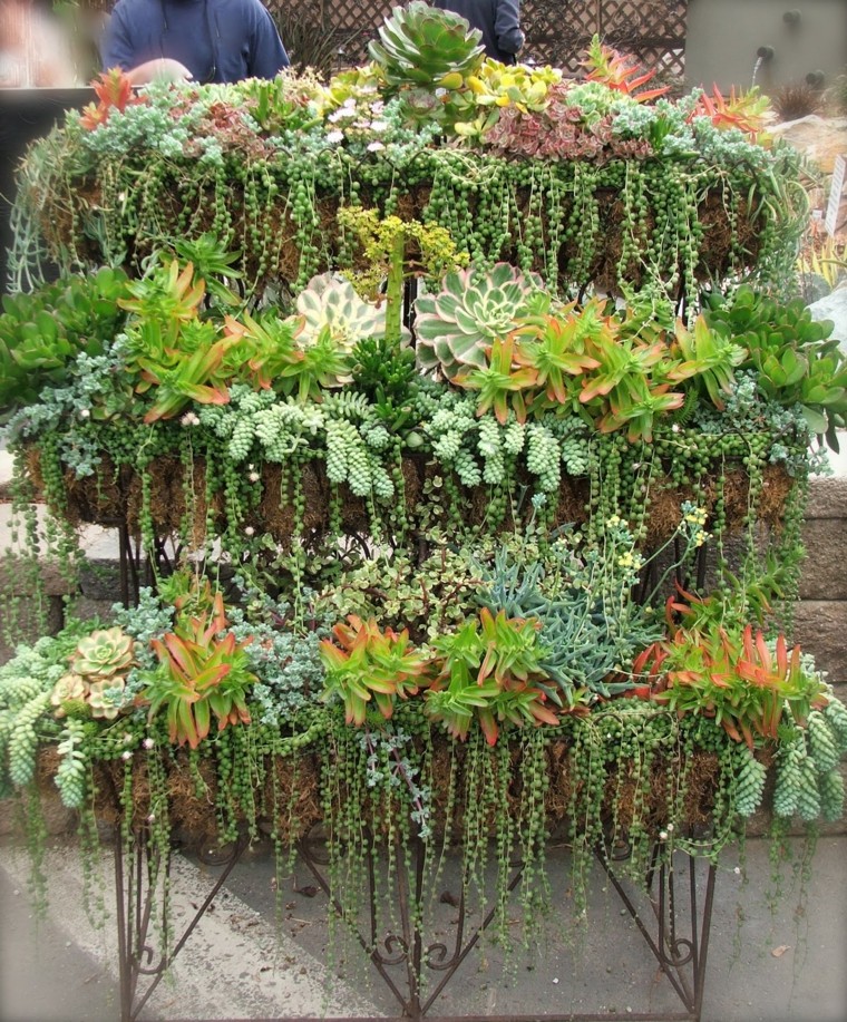 macetas jardin natural tres plantas suculentas ideas