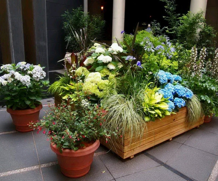 macetas jardineras muchas flores juntas