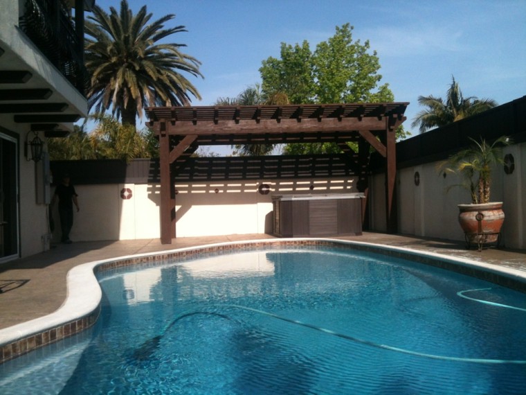 macetas piscina pérgolas palmeras patio