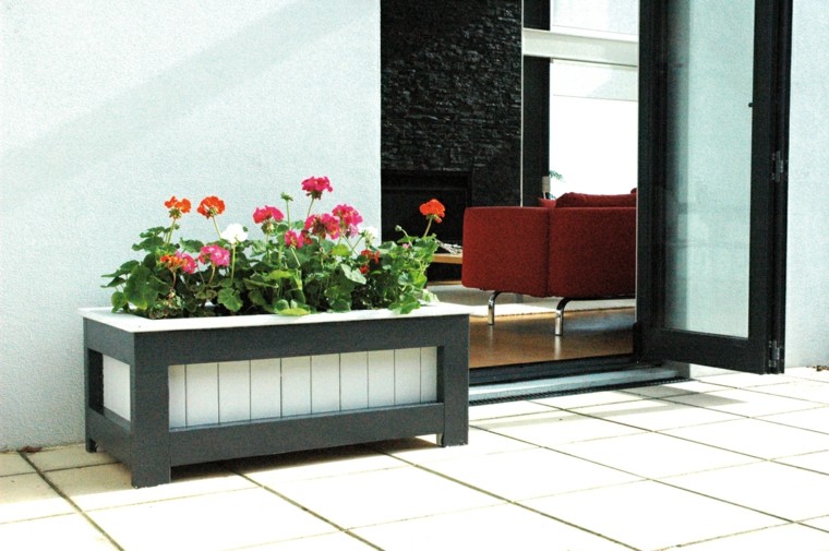 moderno planter decoración flores entrada 