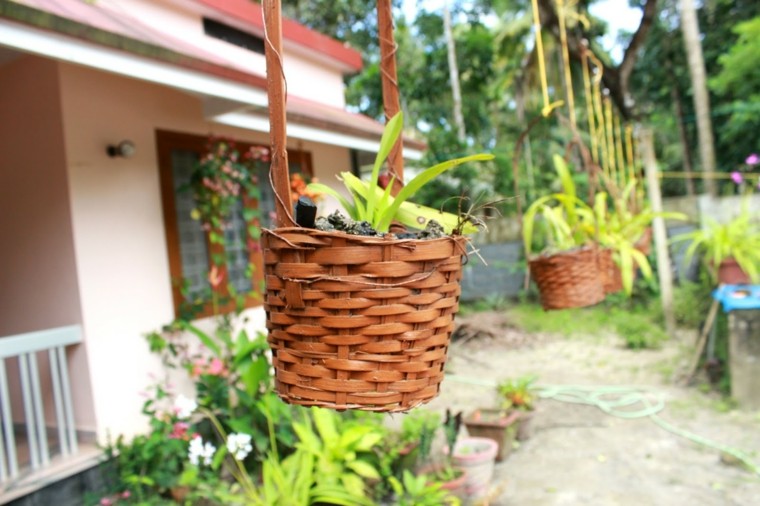 mundo natural jardin macetas terraza idea moderno