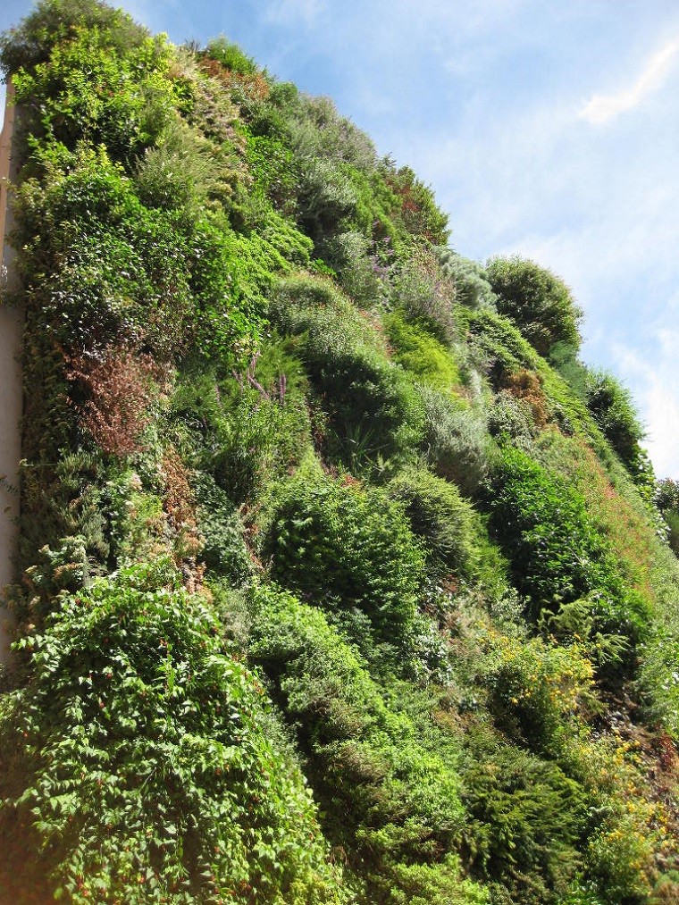 muro exterior jardines verticales naturales