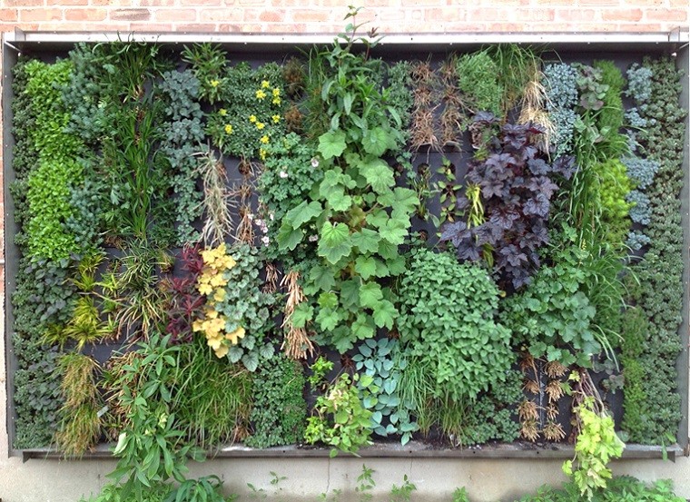 muro pared jardin vertical 