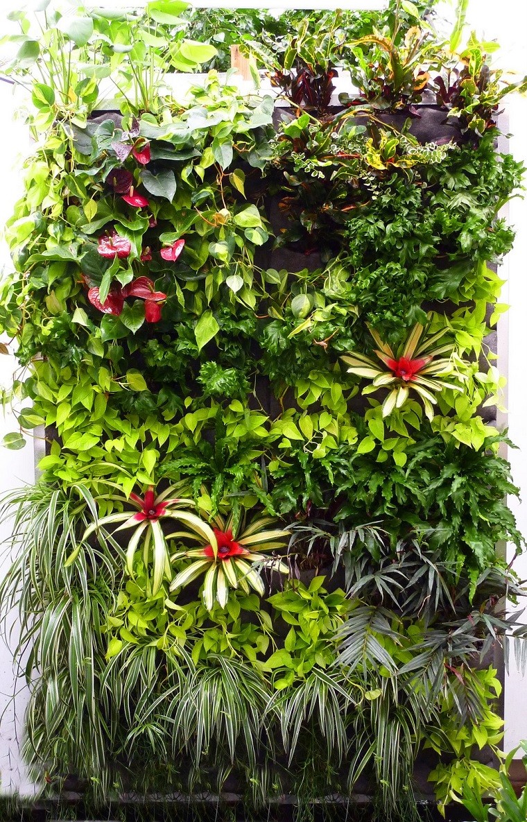 palmeritas colores jardines verticales bonitos