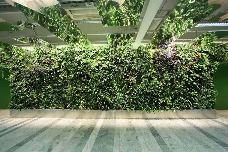 pasillo mall jardin vertical plantas