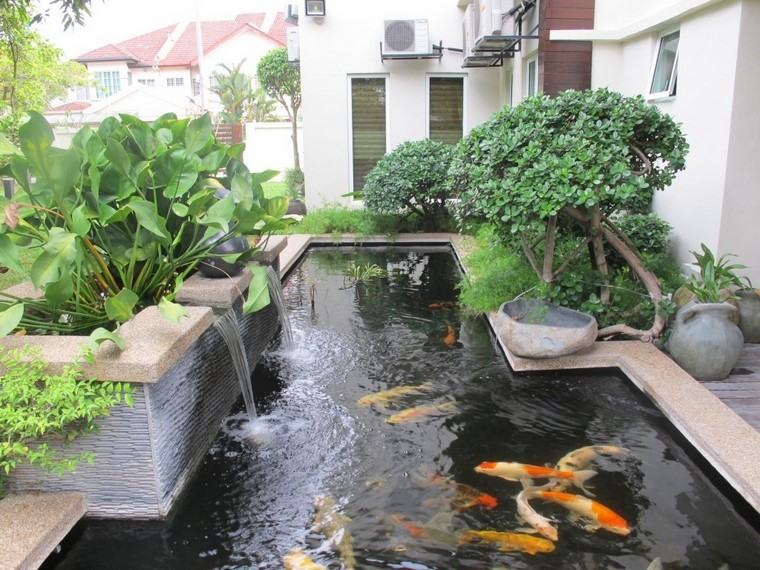 peces estanque plantas patio decoracion