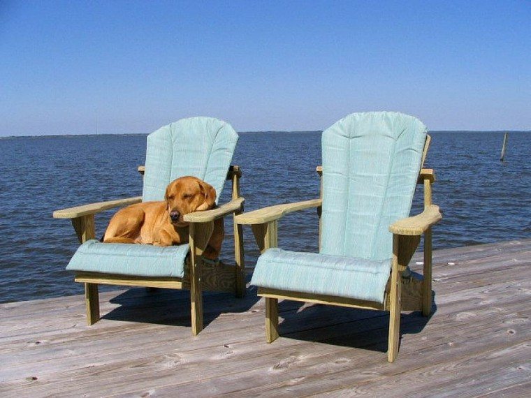 perro dormido sillón playa