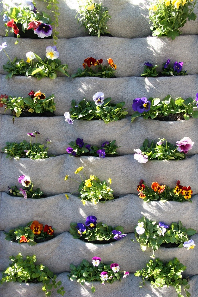 petunias jardinera hormigon jardín vertical