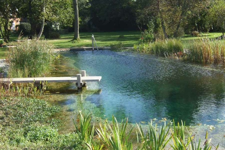 piscina lago natural trampolin madera