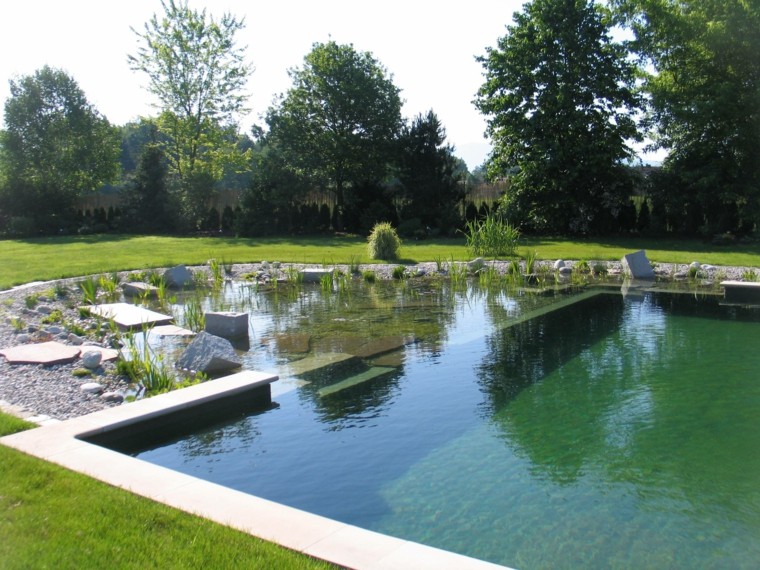 piscinas naturales grandes jardin