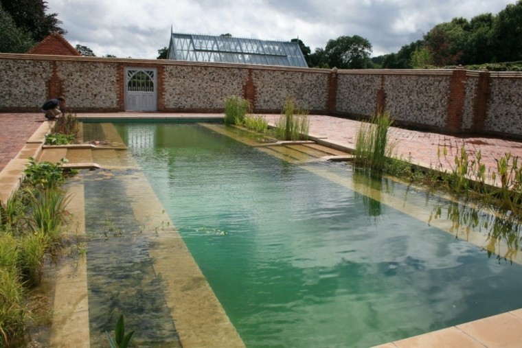 piscinas naturales biofiltros plantas acuaticas