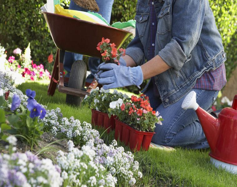 selección de flores jardines modernos bonitos