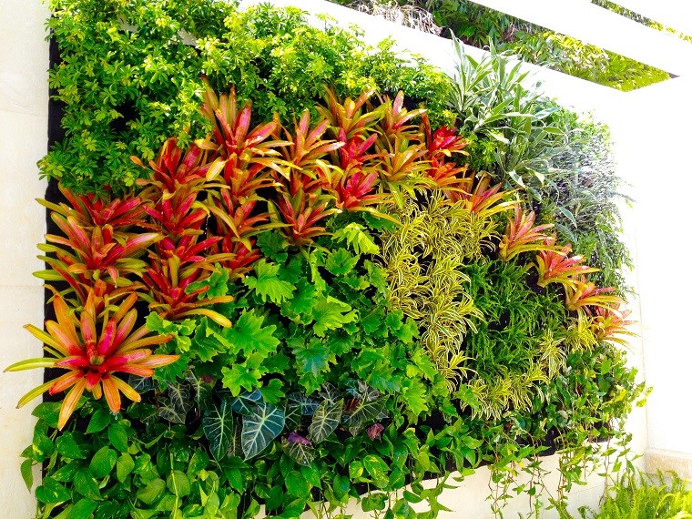 plantas colores jardin vertical pared