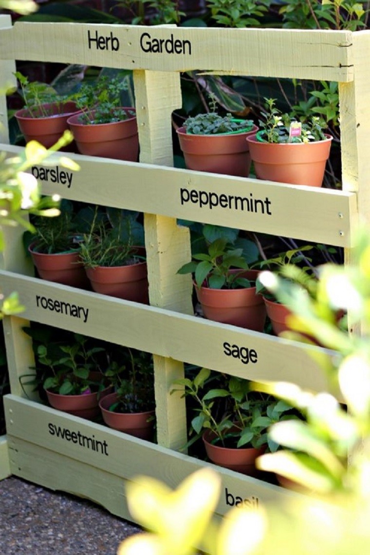 plantas maceta flores parle decoracion