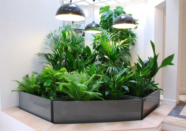 Decoración de interiores con plantas, regálate bienestar.