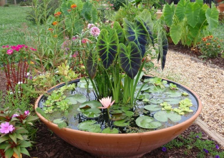 pozo plato macetero agua lotus
