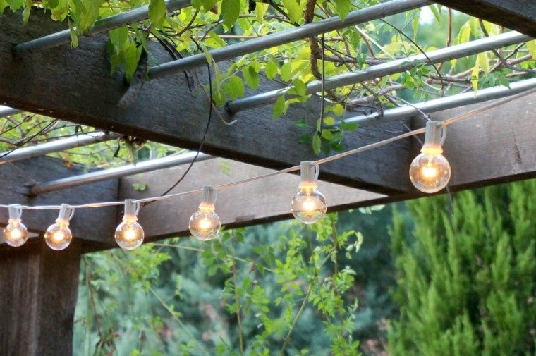 rejas plantas jardin lamparas iluminan casa