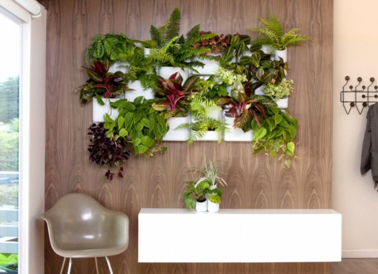 salon pequeno naturalidad macetas ideas plantas blanco