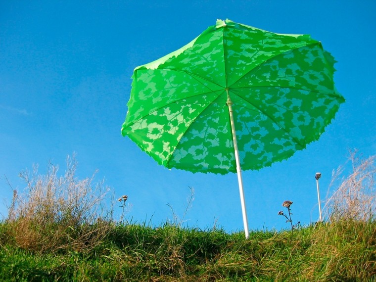 sombrilla verde hojas arbol
