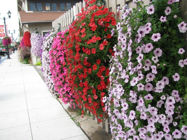 valla blanca flores colores cuelgan ideas modernas