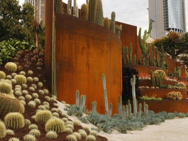 xeriscape cactus moderno muro acero