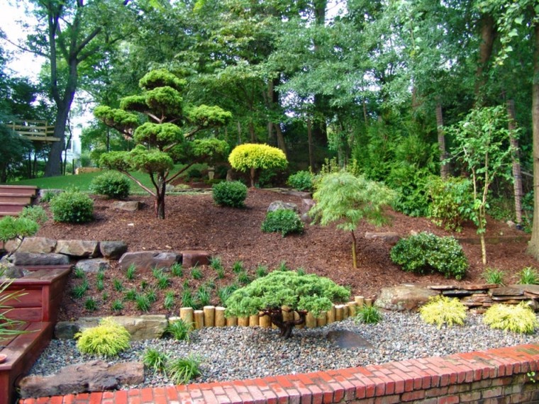 bonsai jardin diseño creativo escalones