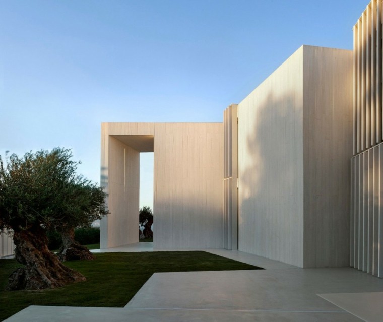casa jardin trasero minimalista bonsai grandes decoracion moderna