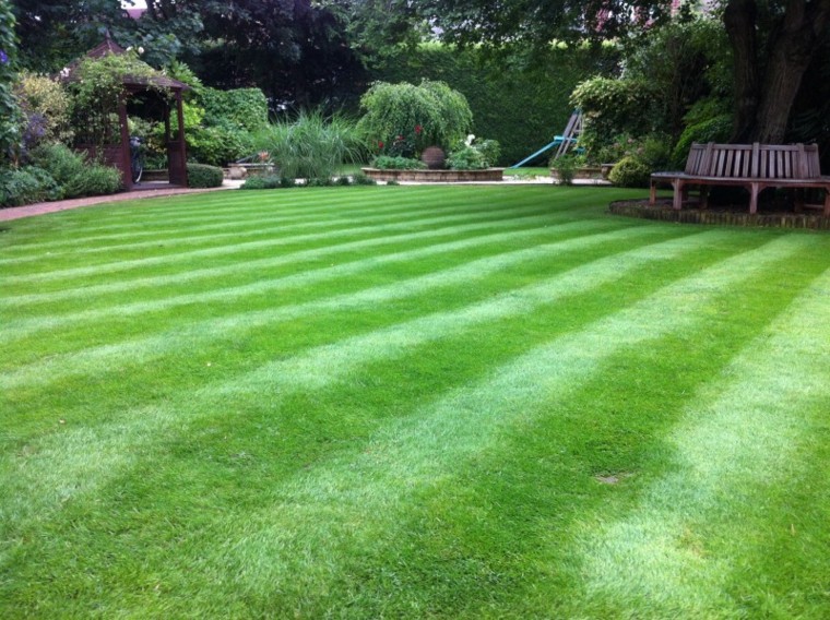cesped jardin bandas verdes hierba