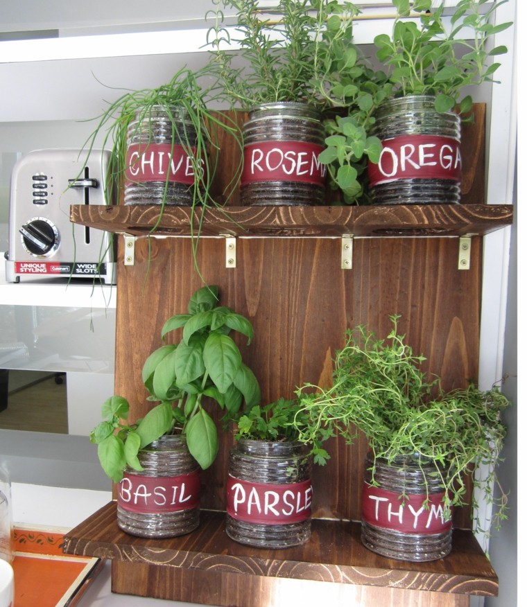 cultivar especias interior casa botes