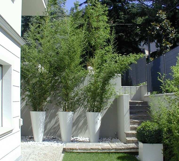 diseño de jardines modernos bambu maceteros elegantes