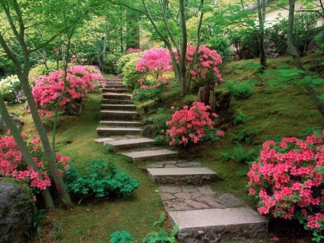 escaleras jardin flores piedras rosa