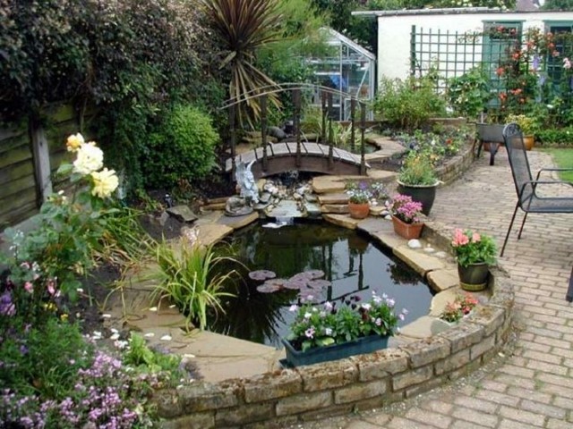 estanque jardin plantas acuáticas varias