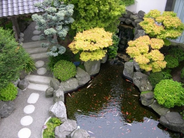 estanque koi puente jardin oriental
