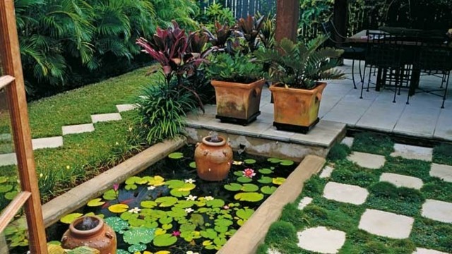 estanque pequeño rectangular lotus jardin