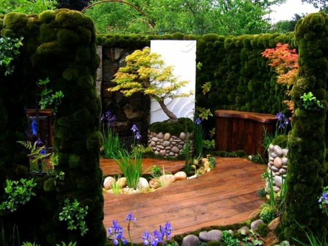 estupendo jardin musgo paredes plantas