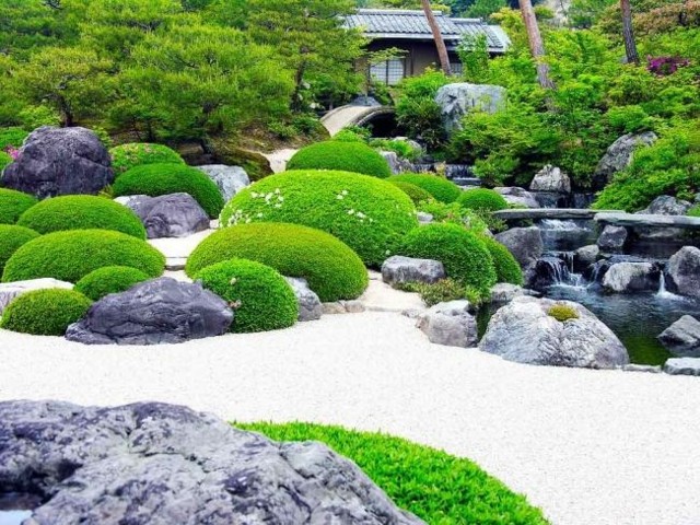 jardin estilo zen bolas plantas