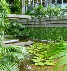 Diseño de jardines: jardines verticales, chimeneas, piscinas