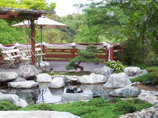 jardines estanque natural pergola parasol