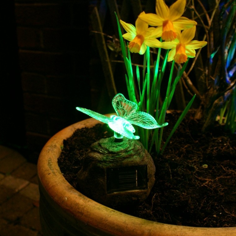 luz mariposa maceta jardin flores